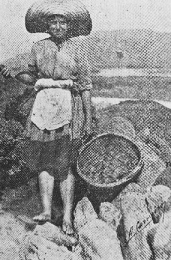 Marisqueira de Areosa | Meados do Século XX – Aureliano Carneiro